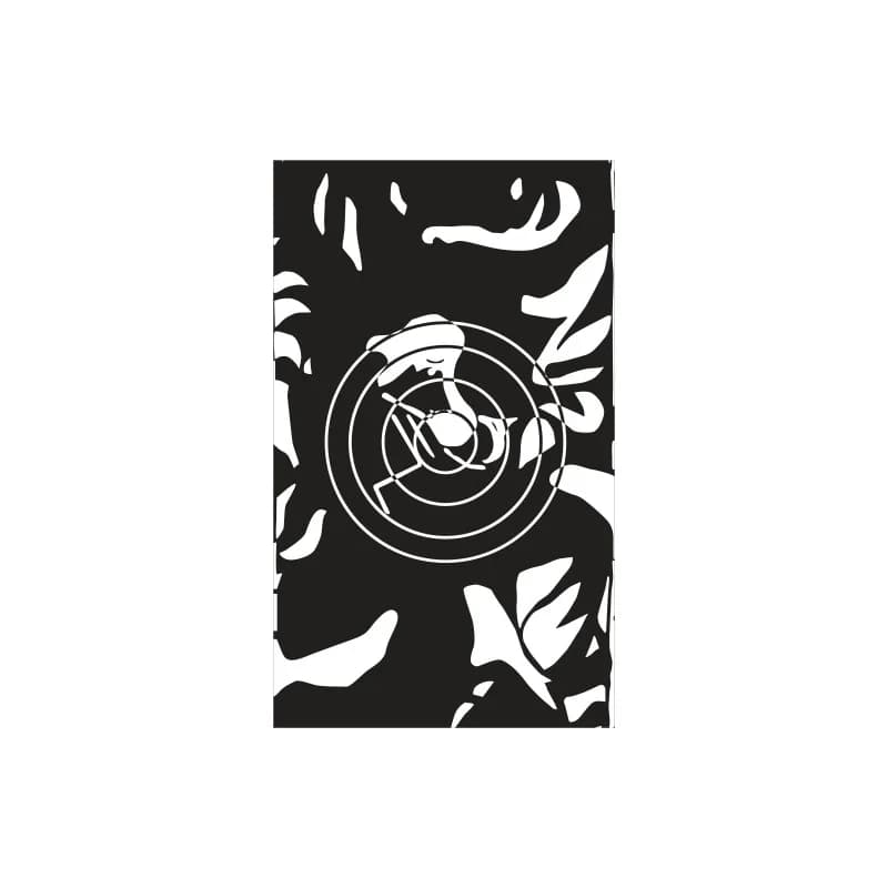 PP2 target — photo 1