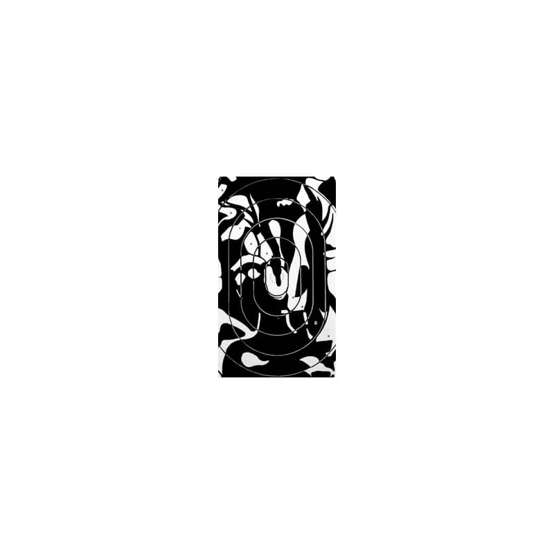 PP1 target — photo 1